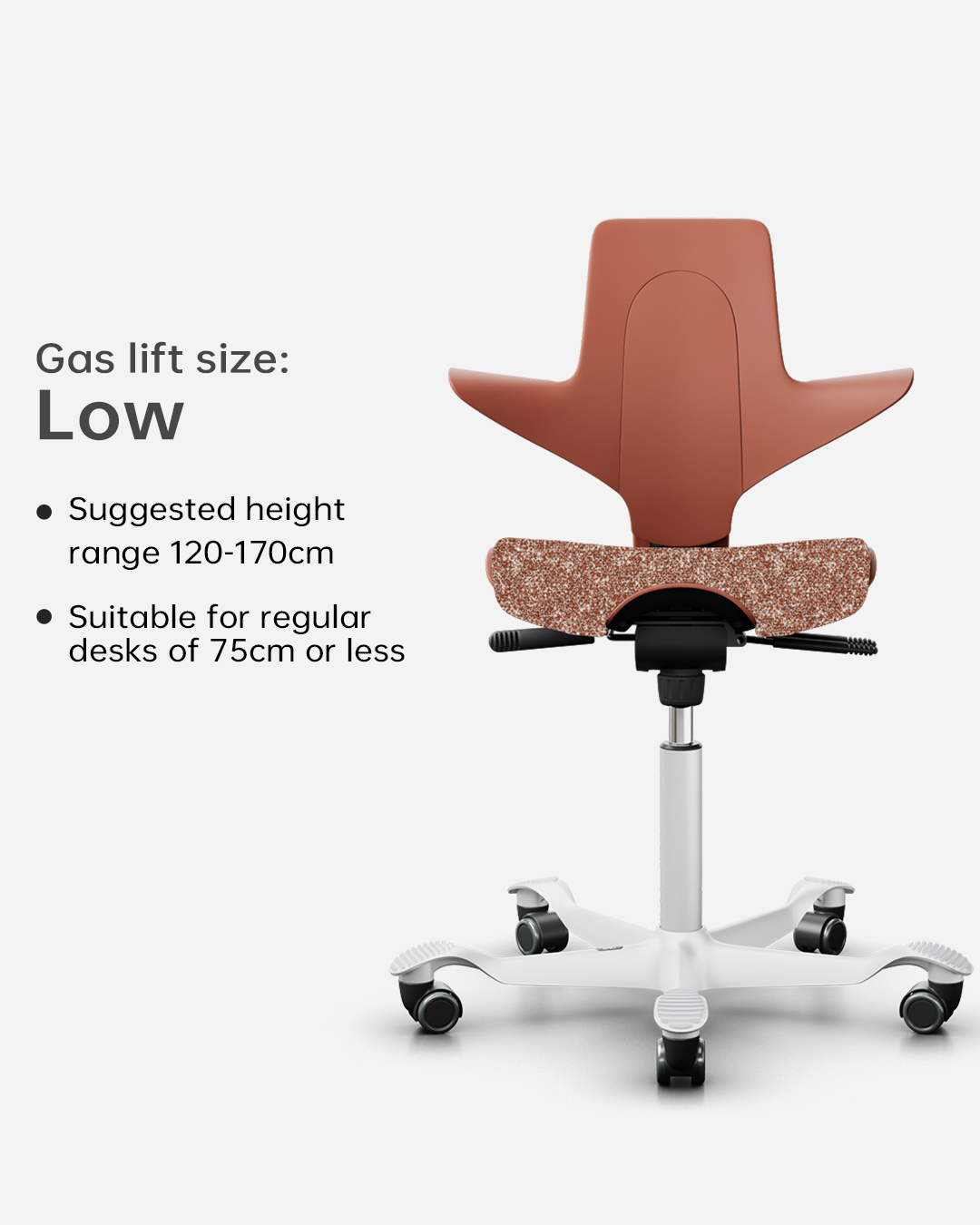 HÅG Capisco Puls 8020 Kids Study Chair