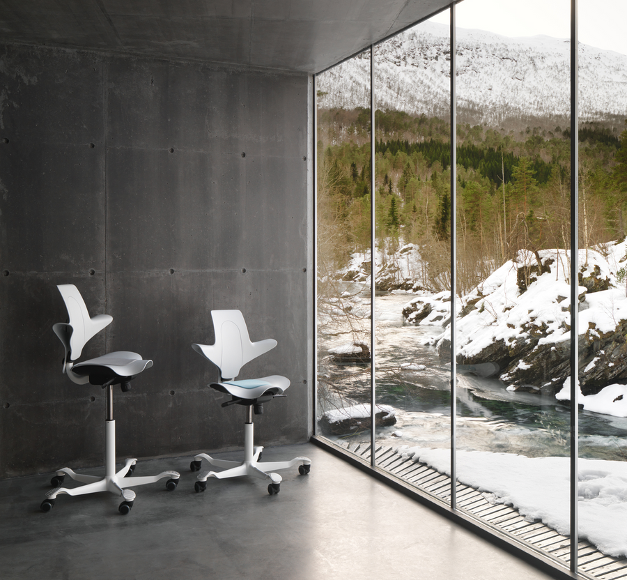 HÅG Capisco Puls 8020