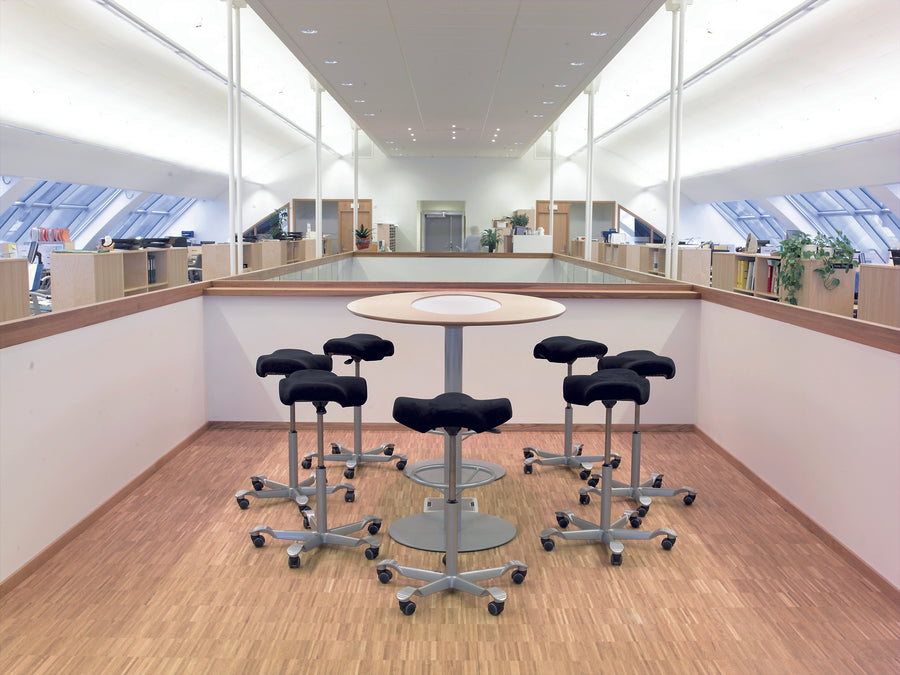 HÅG Capisco Puls 8002