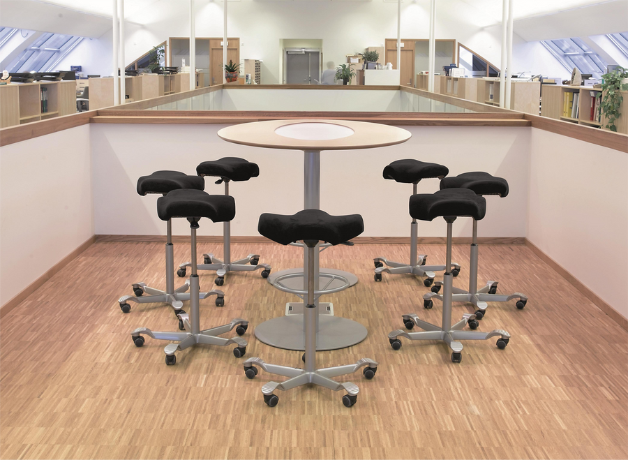 HÅG Capisco Puls 8002