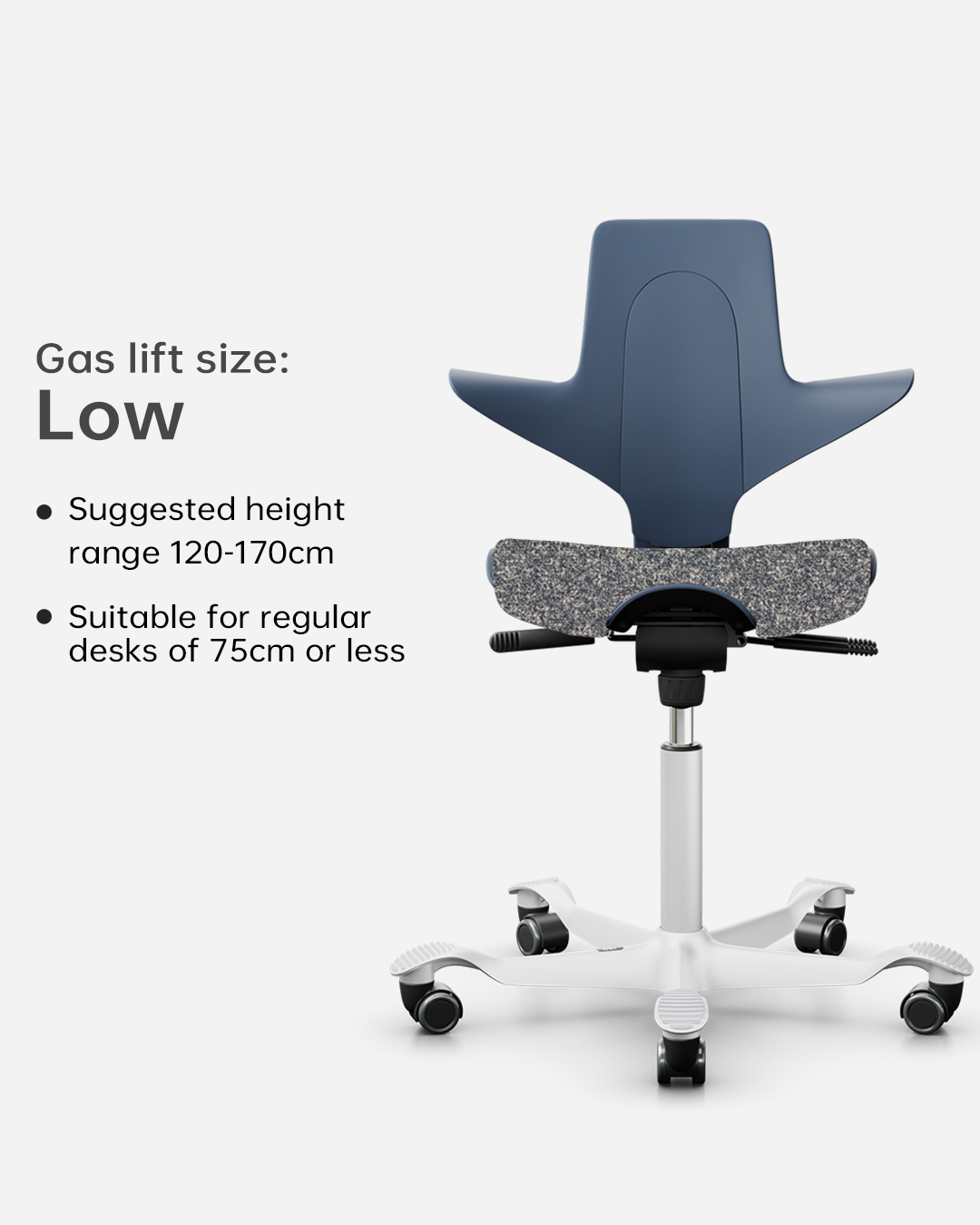 HÅG Capisco Puls 8020  Kids Study Chair