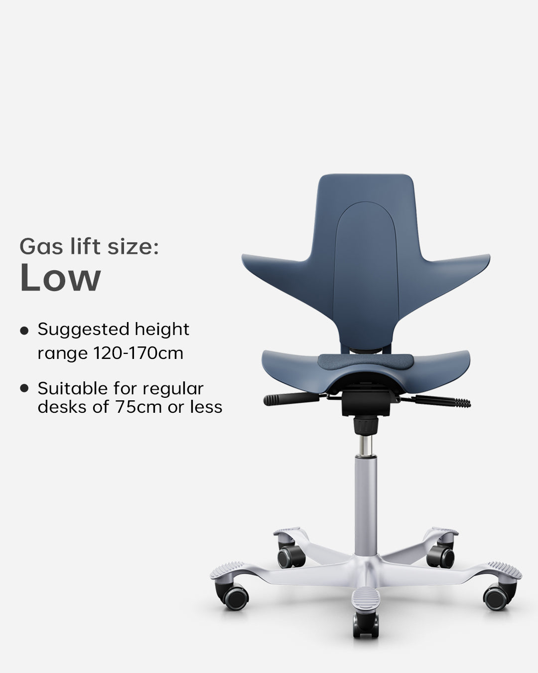 HÅG Capisco Puls 8020 Junior Study Chair – Flokk