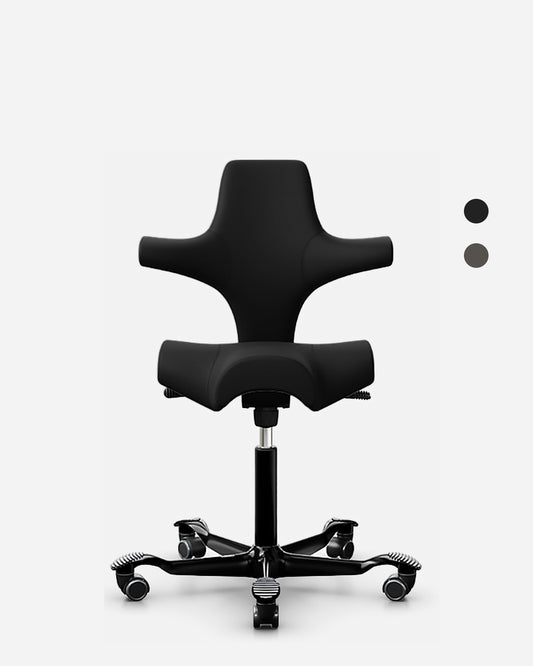 HÅG Capisco 8106 - Paloma