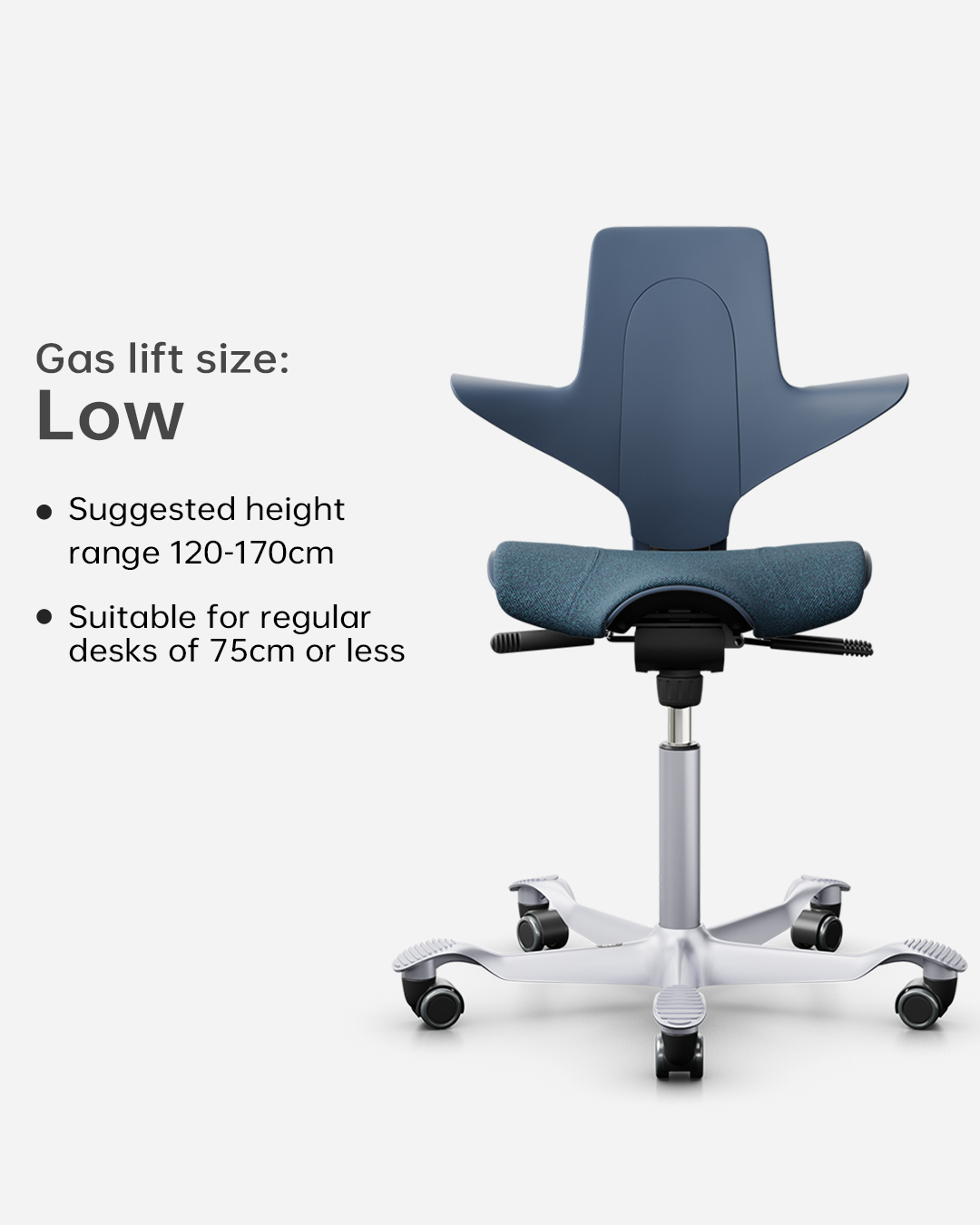 HÅG Capisco Puls 8020  Kids Study Chair