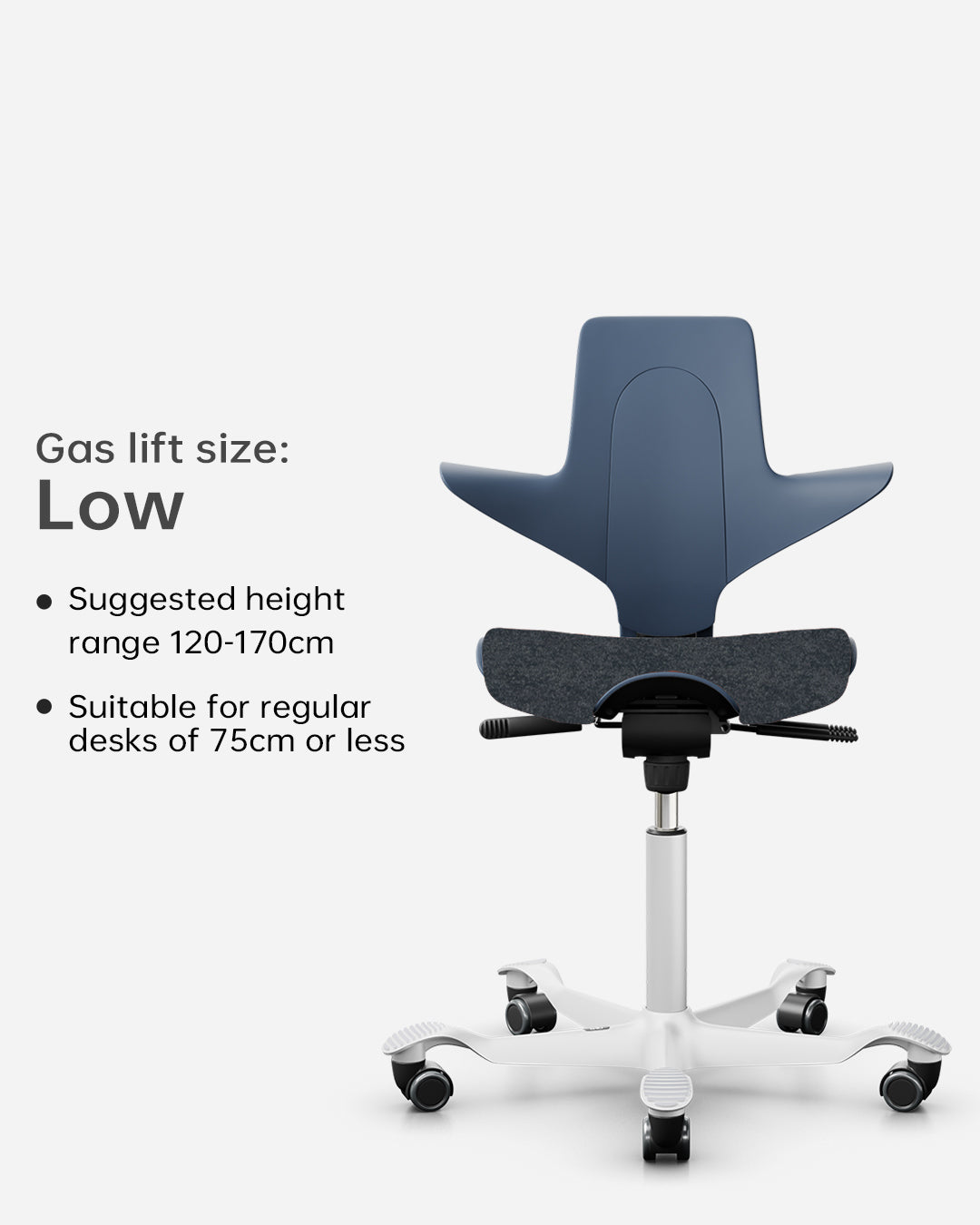 HÅG Capisco Puls 8020  Kids Study Chair