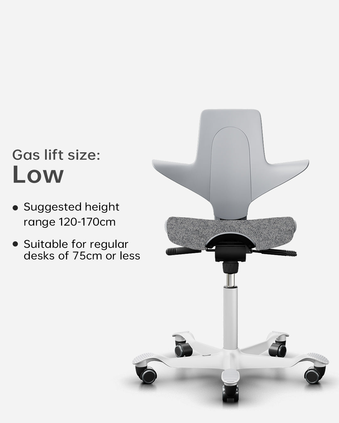 HÅG Capisco Puls 8020  Kids Study Chair