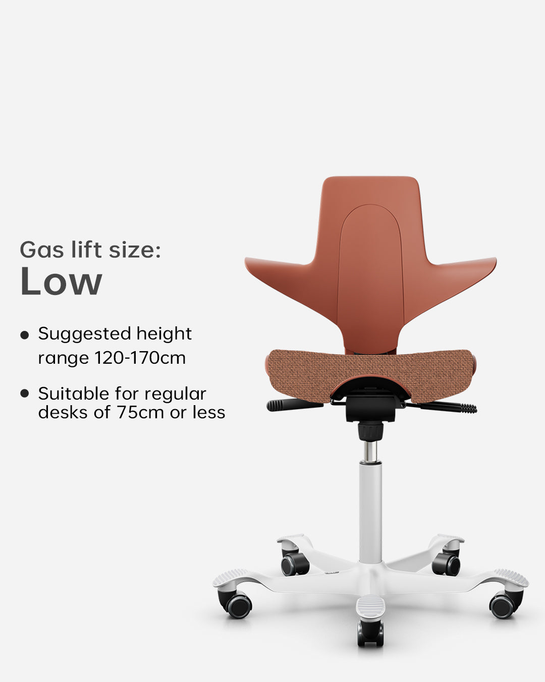 HÅG Capisco Puls 8020  Kids Study Chair