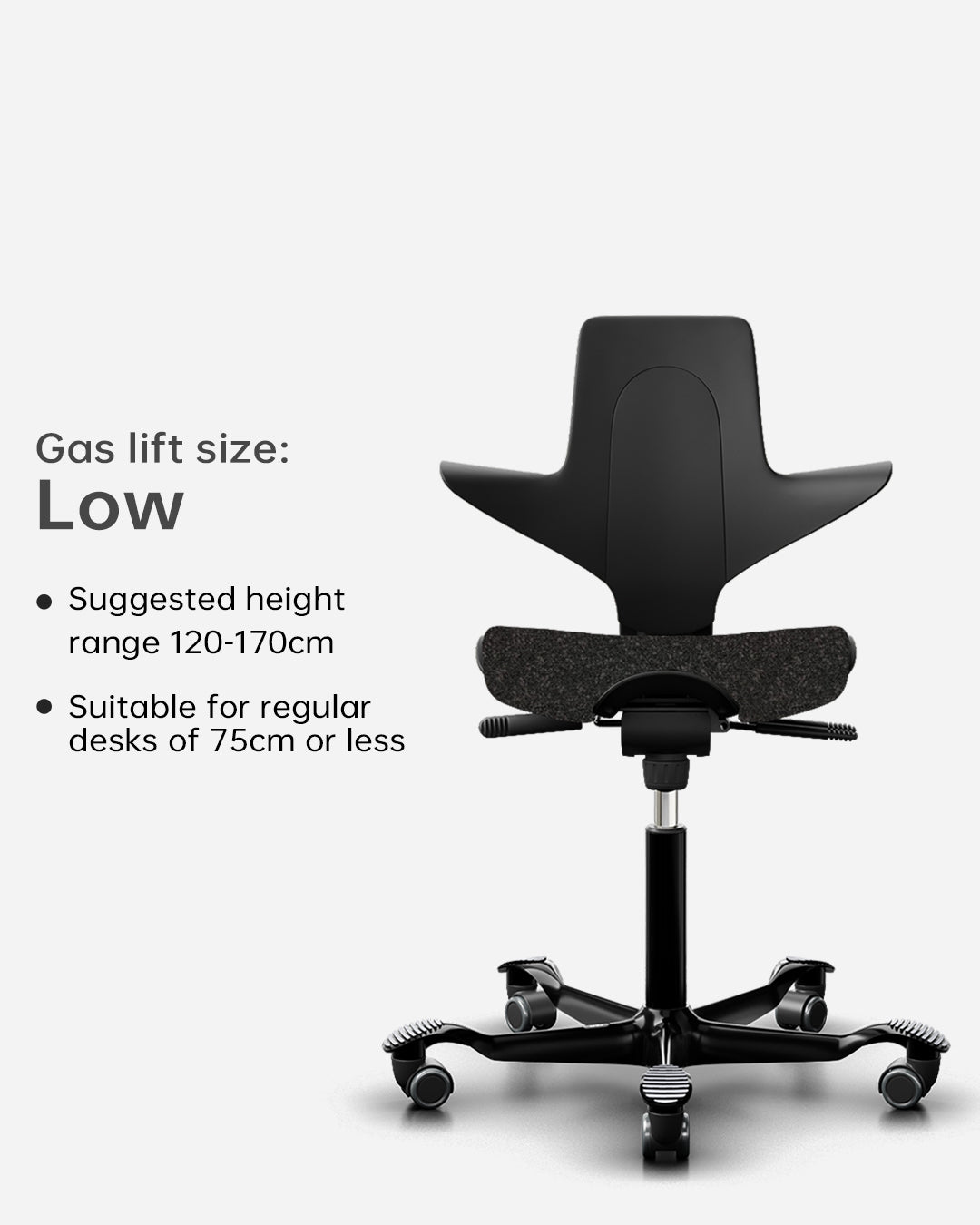 HÅG Capisco Puls 8020  Kids Study Chair